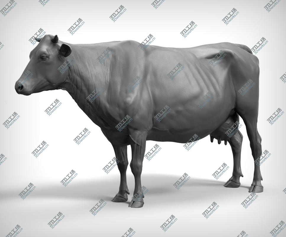 images/goods_img/2021040232/3D Cow Realistic/1.jpg